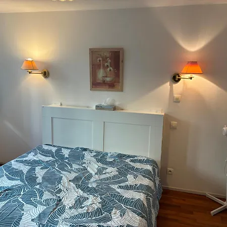 Apartment Residilaverde Hypercentre Grenoble